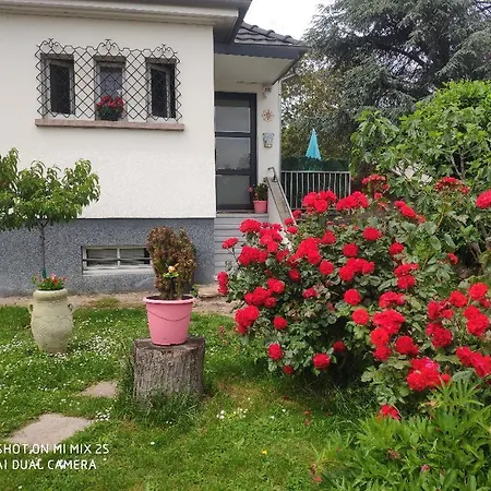 Homestay 
